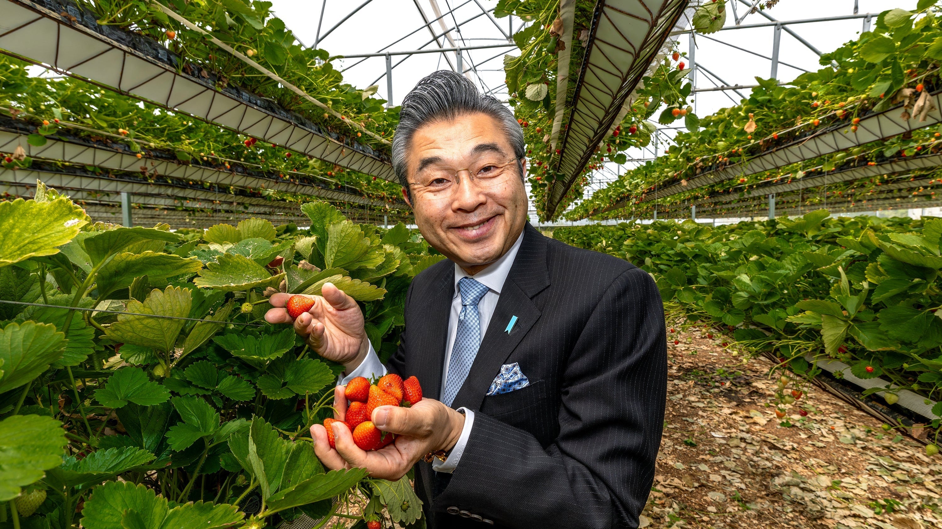 Japanese Ambassador celebrates 140 years of jam making by visiting Tiptree farm and factory.