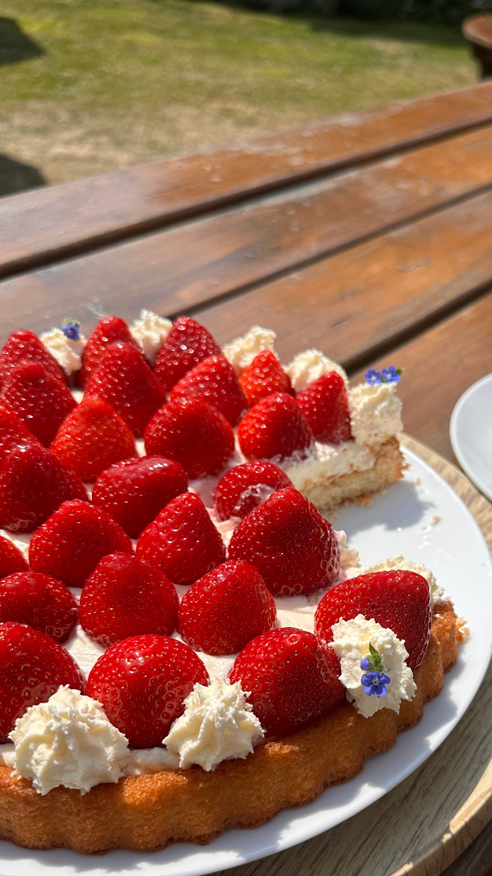 Strawberry with Rhubarb Flan