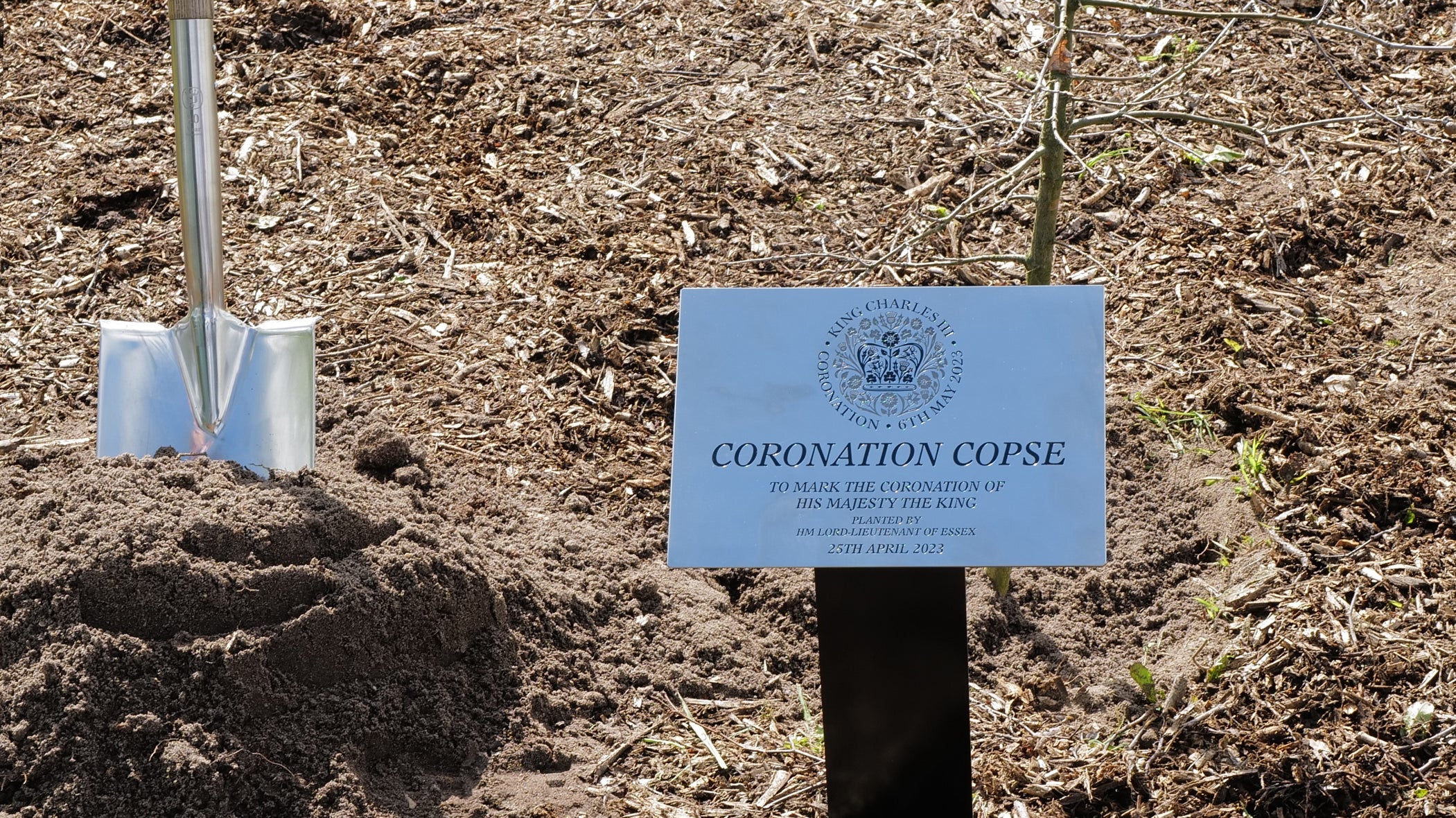 Coronation Copse – final tree of 800 planted. Founder of Wilkin & Sons commemorated by The Lord Lieutenant.