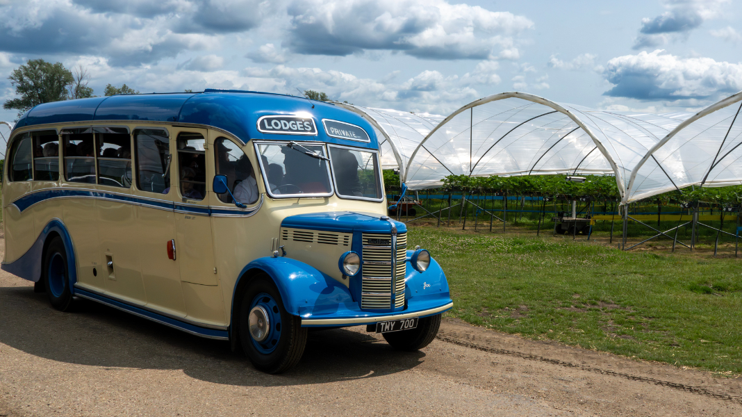 Strawberry time at Open Farm Sunday - Tiptree