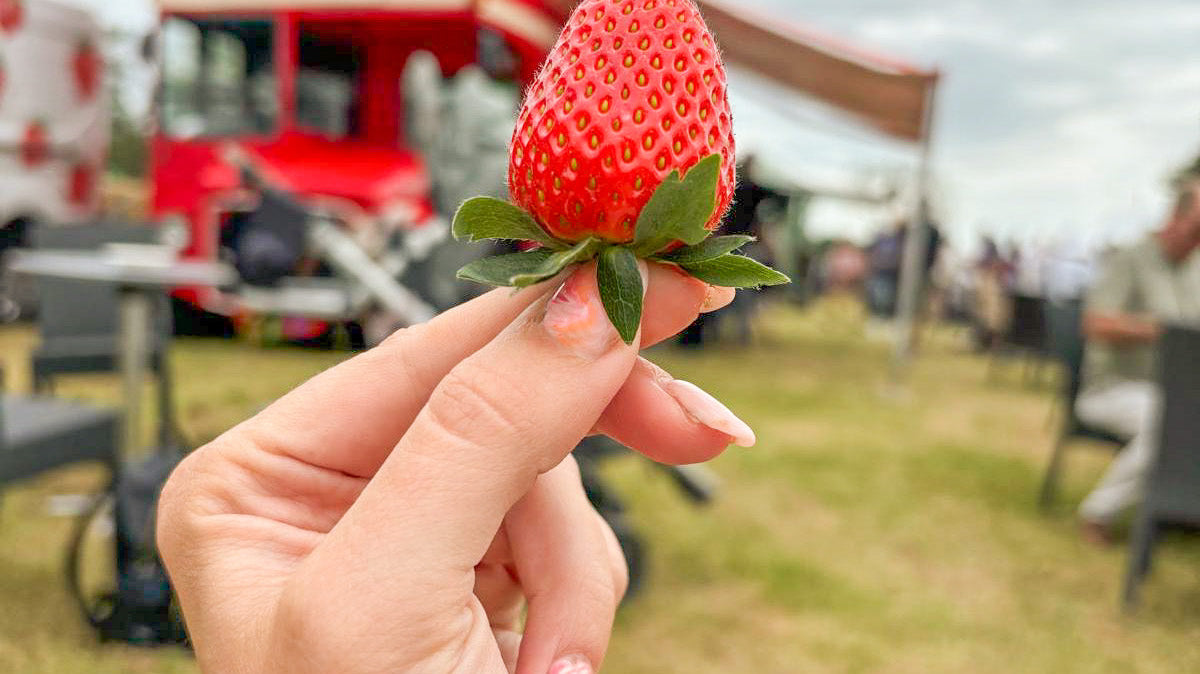 Show and Events 2025