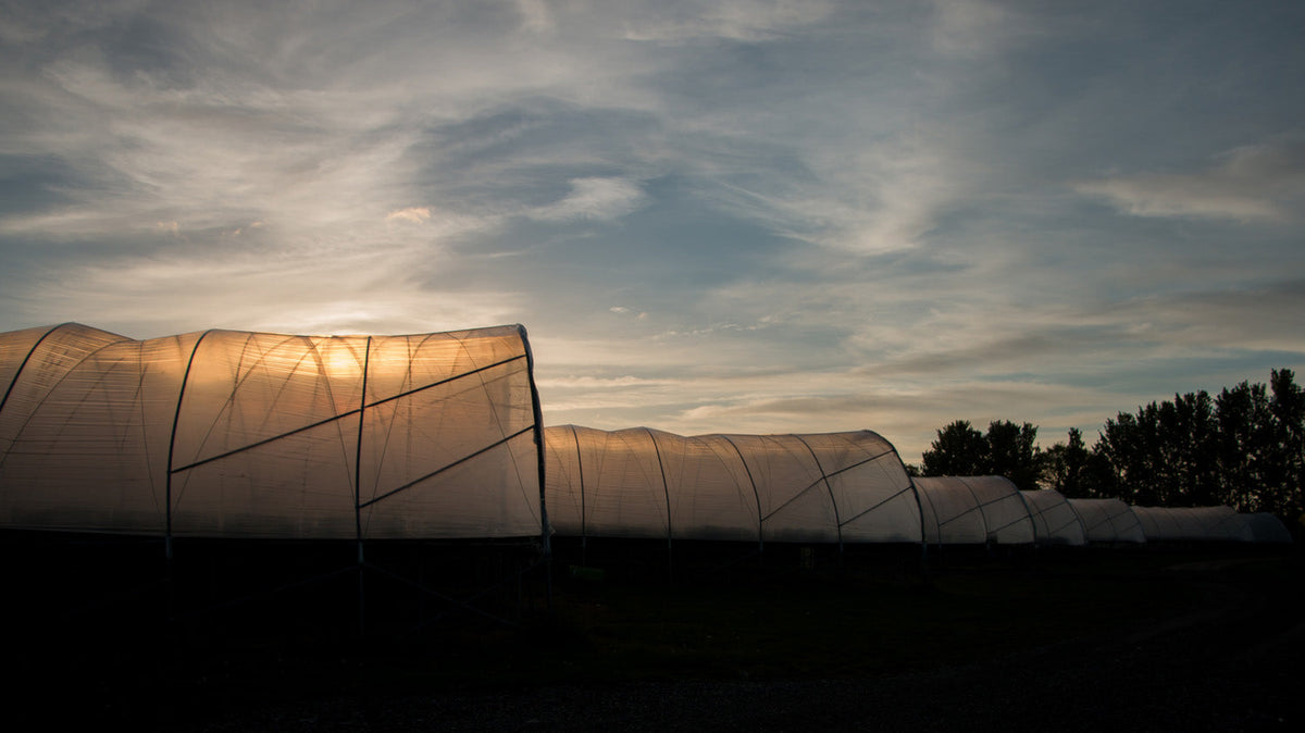September on the farm