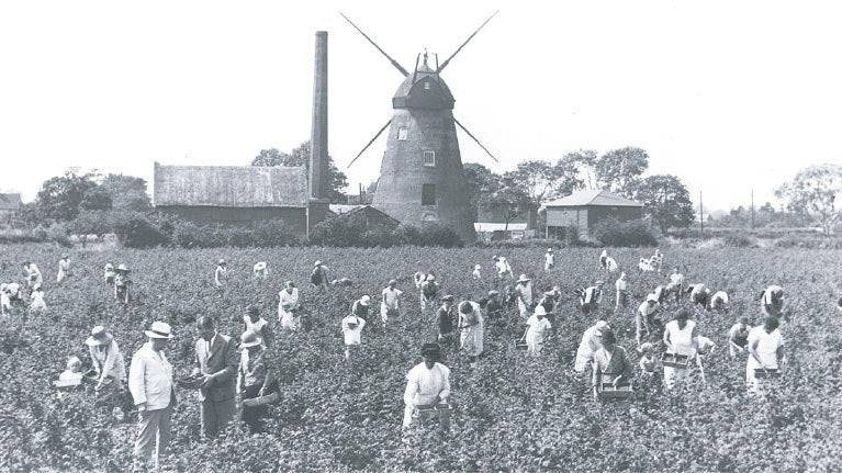 Our History