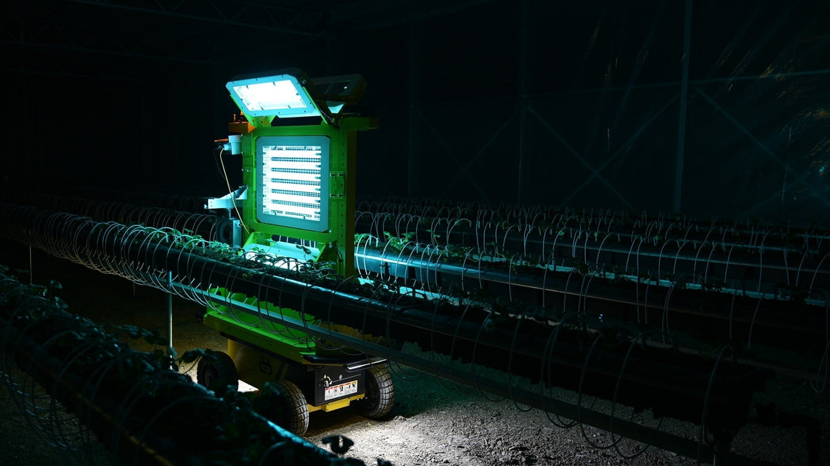 How Farming Robots Are Supporting Modern Strawberry Production