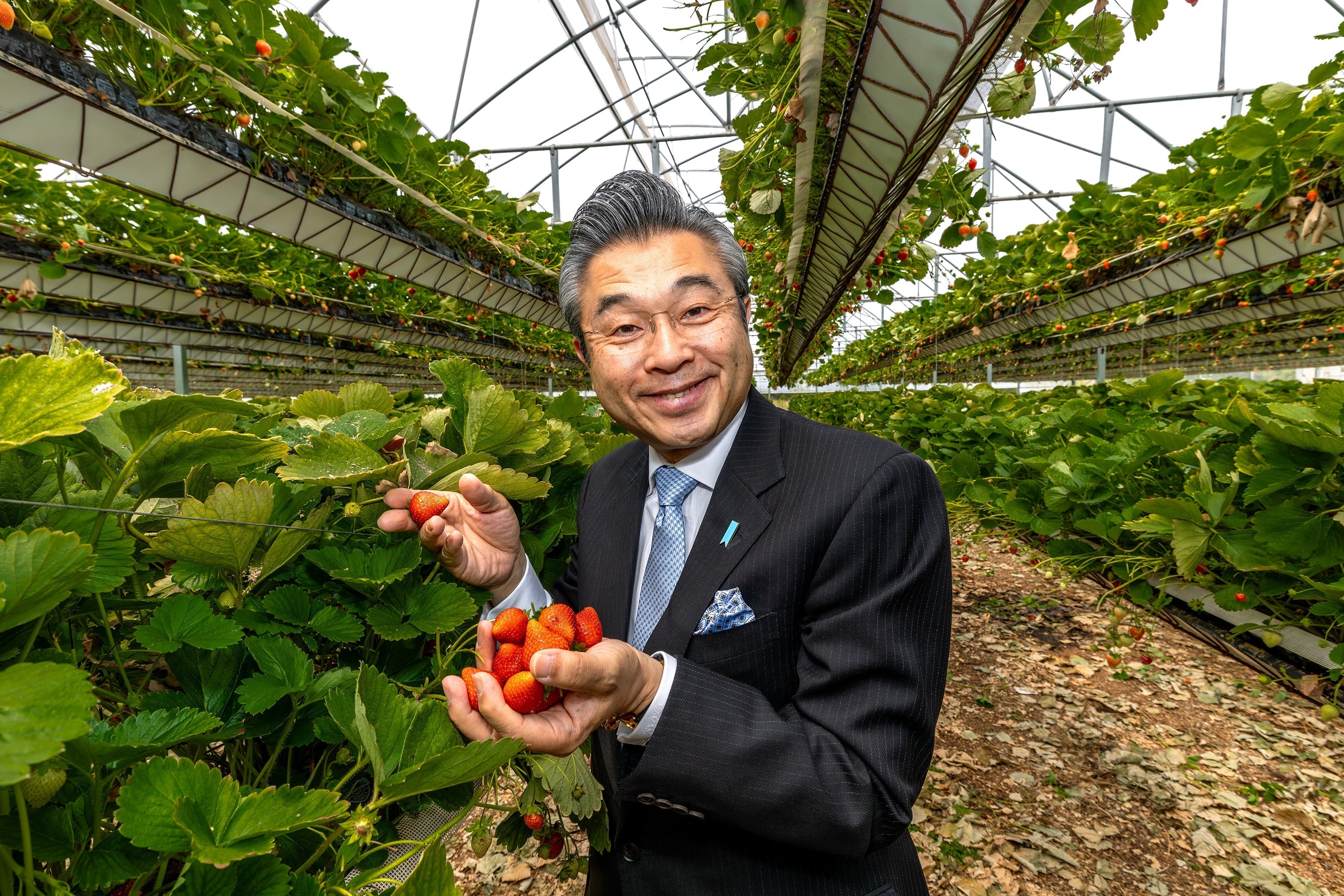 Japanese Ambassador celebrates 140 years of jam making by visiting Tiptree farm and factory.