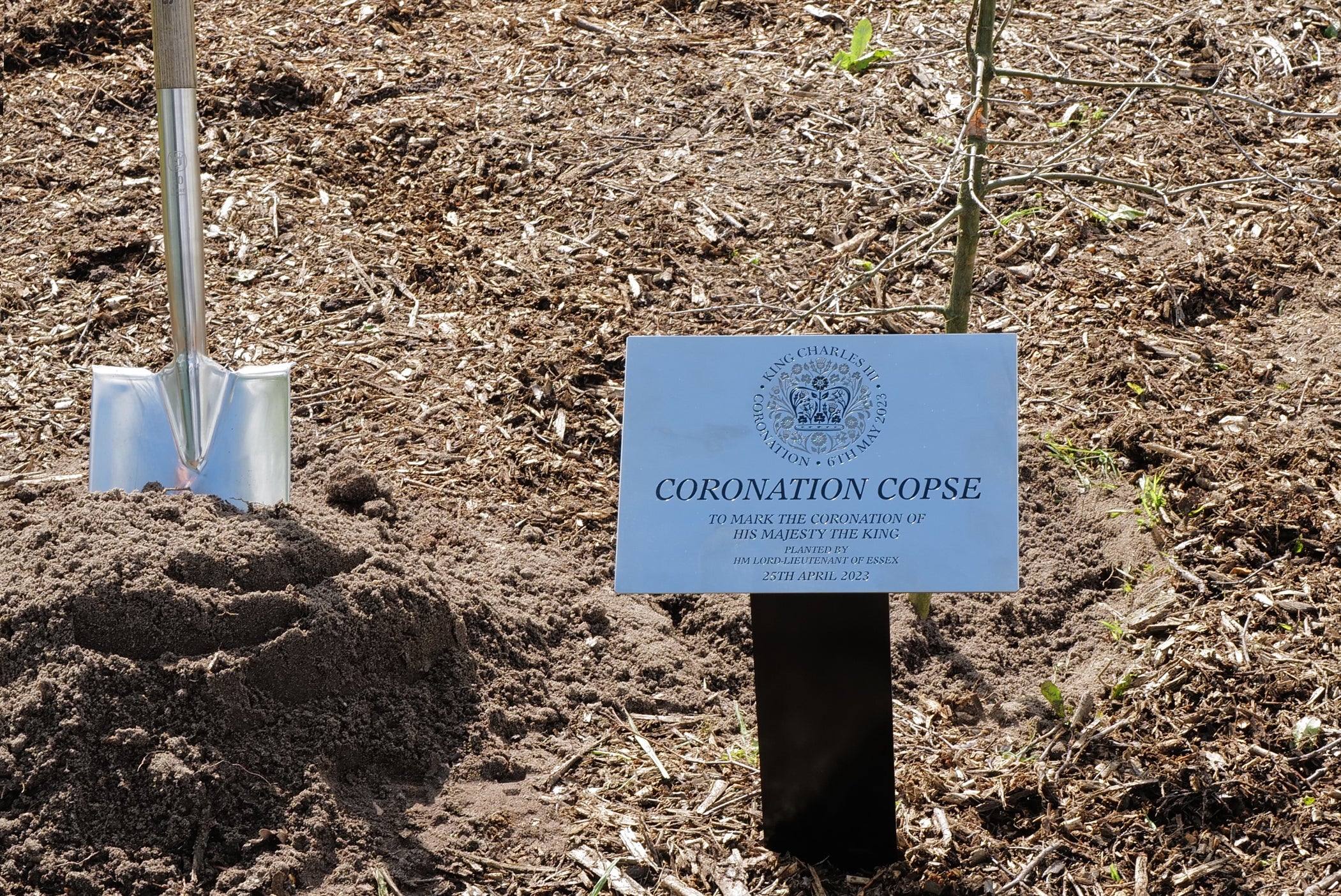 Coronation Copse – final tree of 800 planted. Founder of Wilkin & Sons commemorated by The Lord Lieutenant.