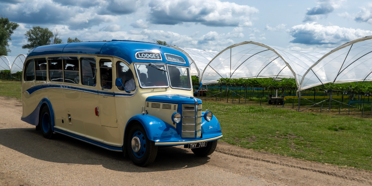 Strawberry time at Open Farm Sunday - Tiptree