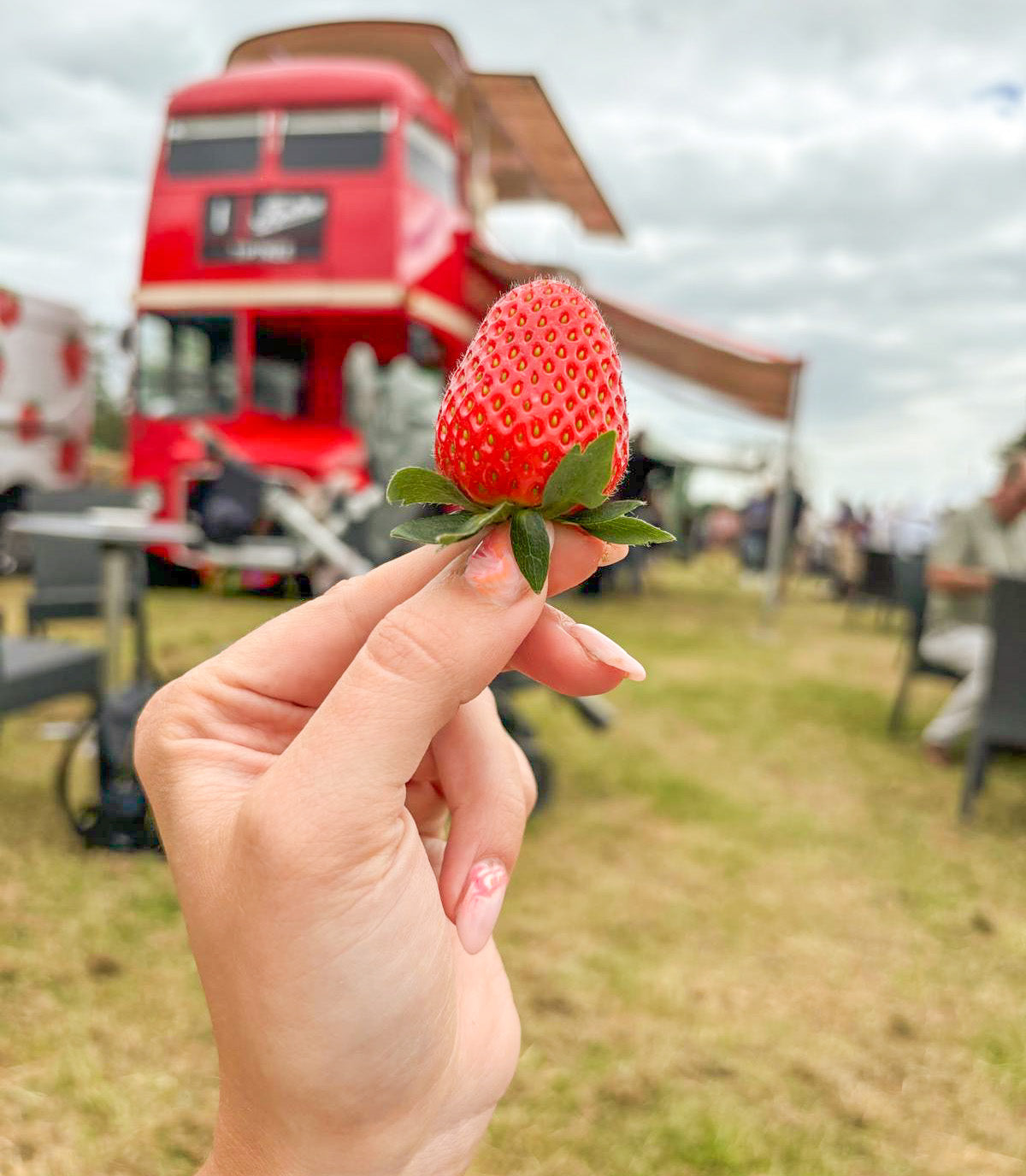 Show and Events 2025