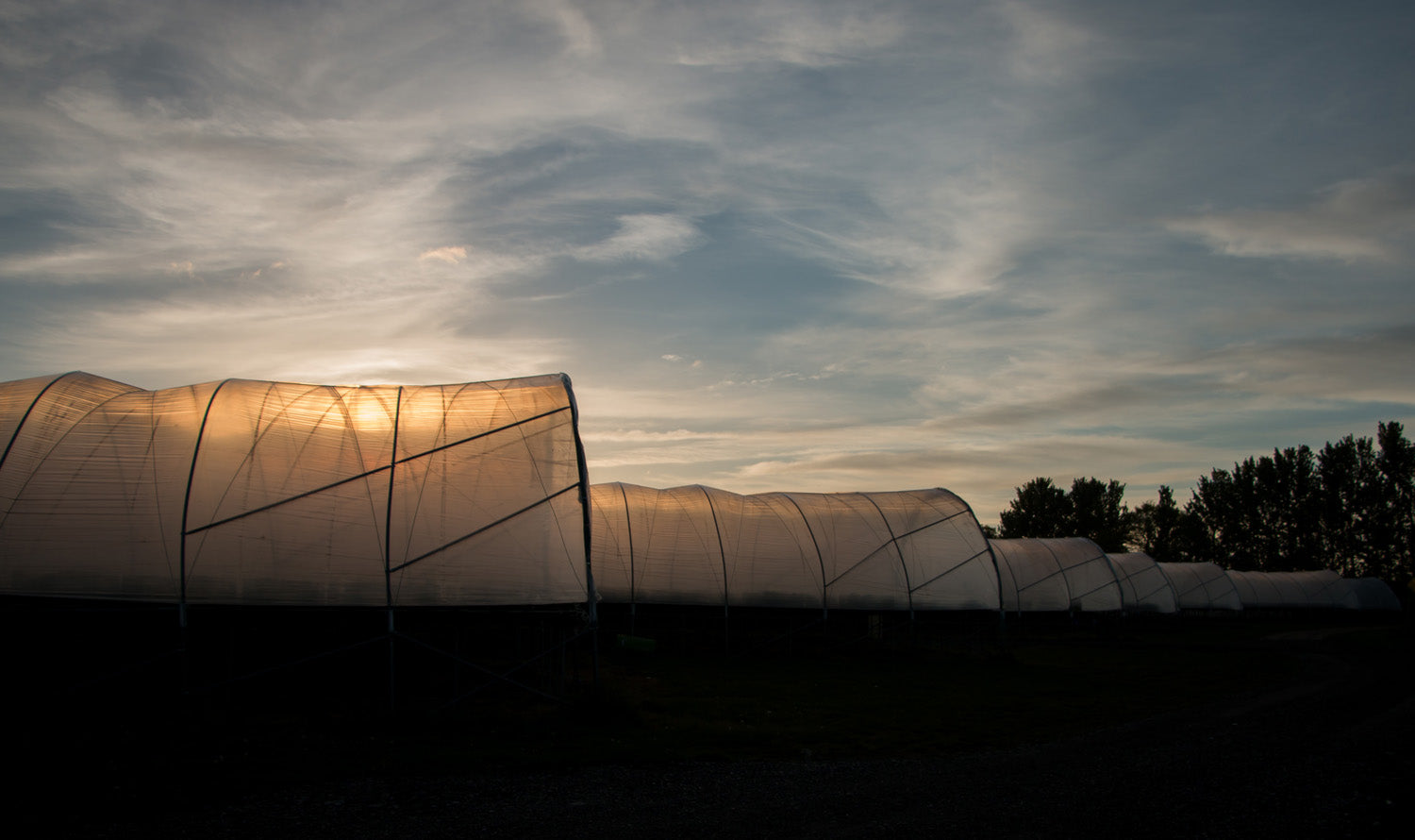 September on the farm