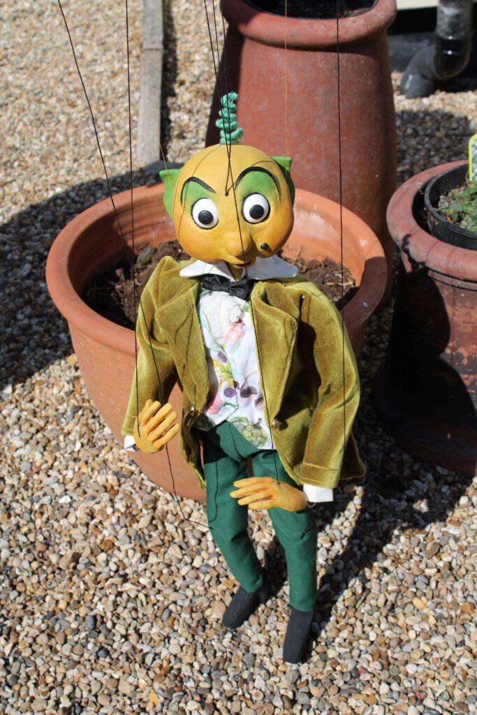 Mr Turnip comes to Tiptree