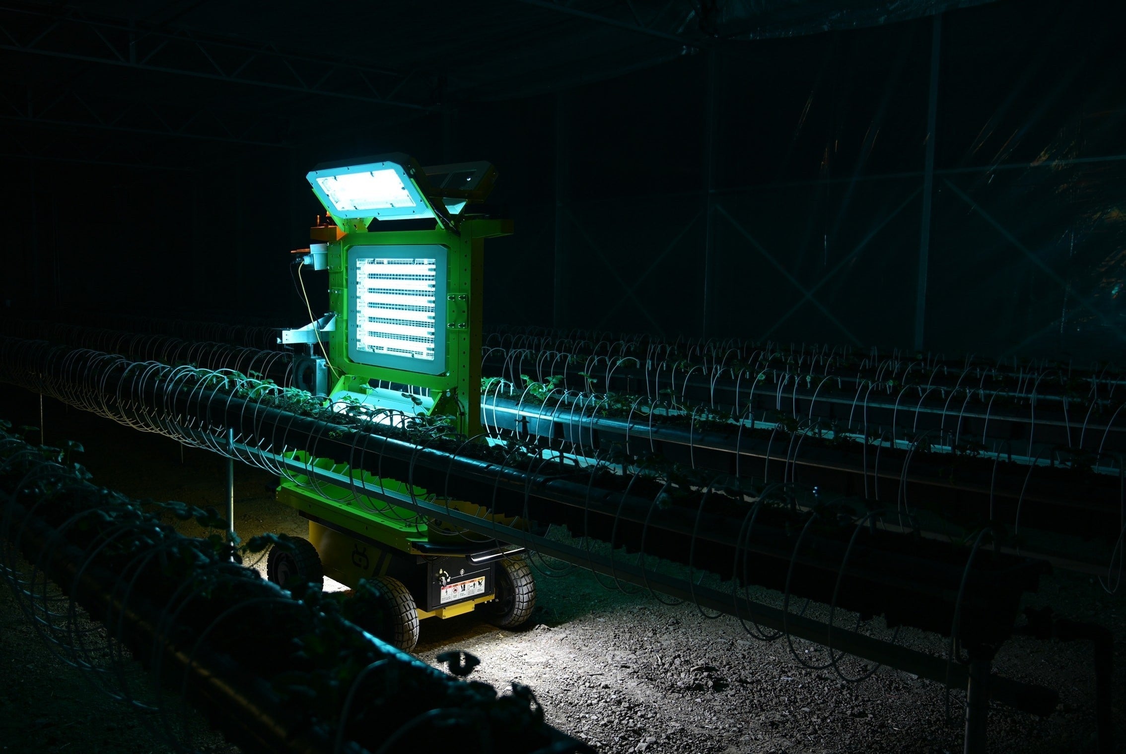 How Farming Robots Are Supporting Modern Strawberry Production