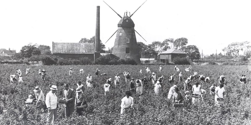 140 years of Jam Making – Tiptree
