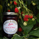 Jar of Tiptree Strawberry Little Scarlet Conserve surrounded by strawberries and green leaves
