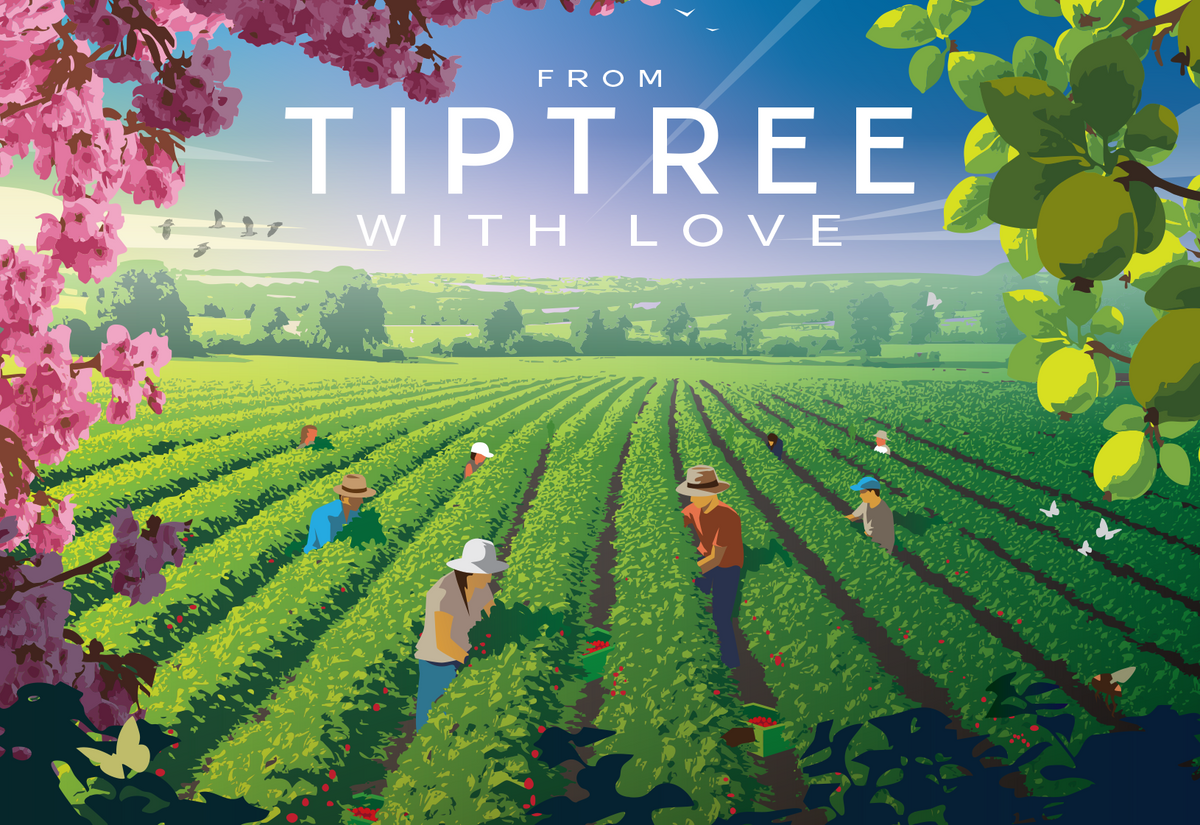 Sam Rider Tiptree Gift messages | Tiptree postcard | Add the personal touch
